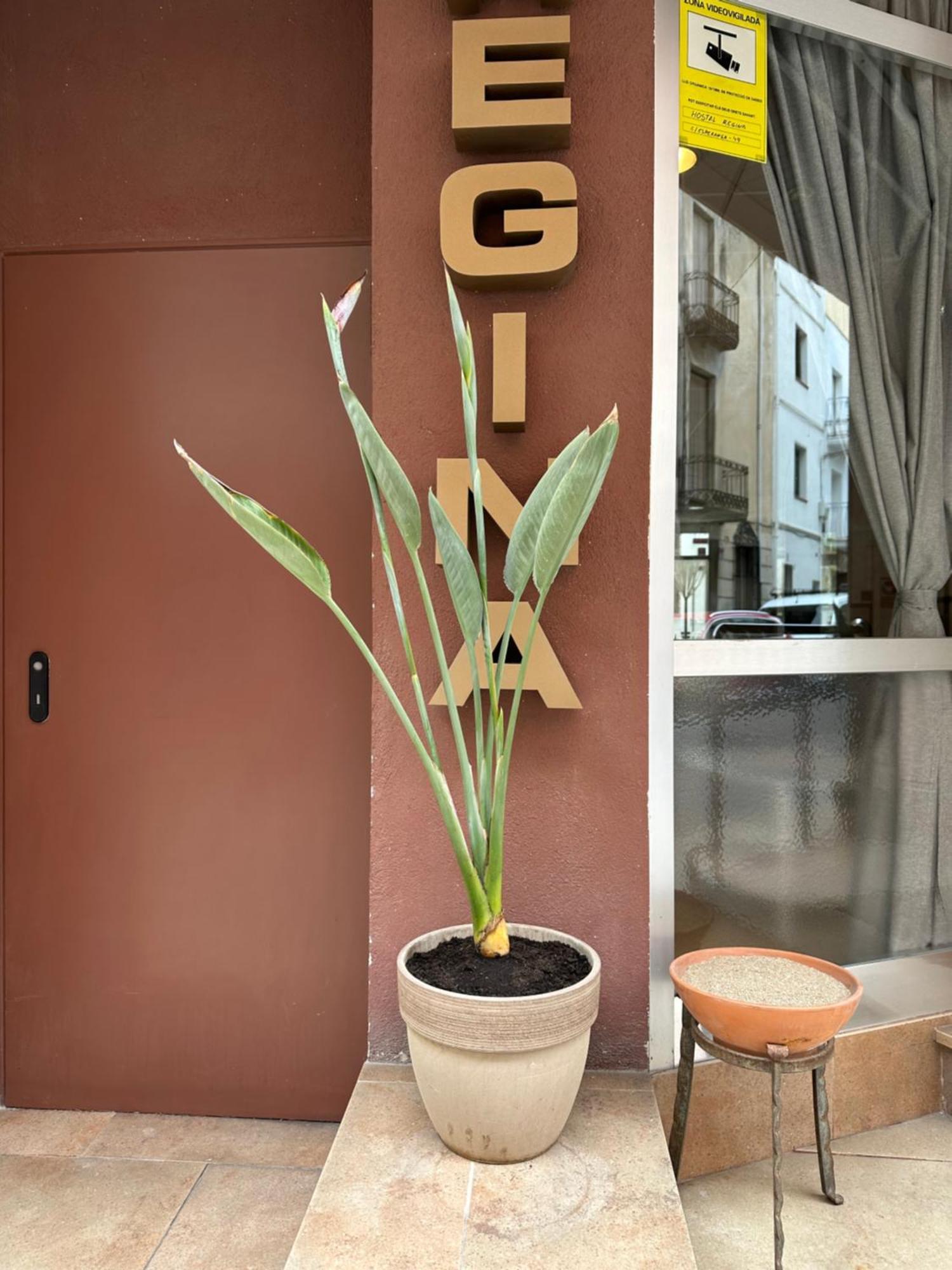 Hostal Regina Blanes Exterior photo